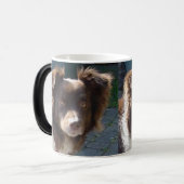 miniature american shepherd red tri magische mok (Voorkant links)