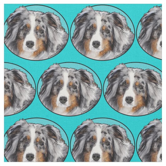 Miniature American Shepherd Stof (Close Up)