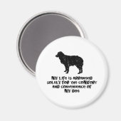 Miniature Australian Shepherd Magneet (Voorkant / Achterkant)