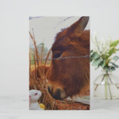 Miniature Brown horse & Easter Bunny Briefpapier (Staand voorkant)