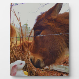 Miniature Brown horse & Easter Bunny Fotoplaat