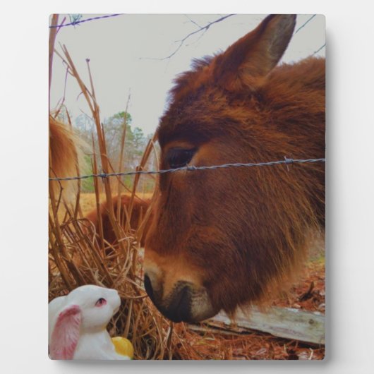 Miniature Brown horse & Easter Bunny Fotoplaat (Voorkant)