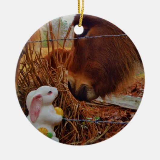 Miniature Brown horse & Easter Bunny Keramisch Ornament (Voorkant)