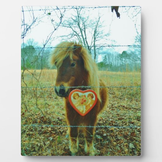 Miniature Brown horse Valentijn Heart Fotoplaat (Voorkant)