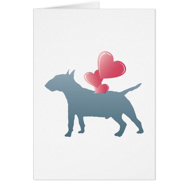 Miniature Bull Terrier (Voorkant)