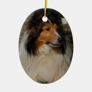 Miniature Collie Ornaemnt Keramisch Ornament