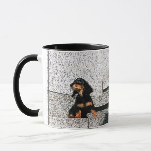 Miniature Dachshund 4 Mok (Links)