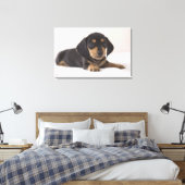 Miniature Dachshund Canvas Afdruk (Insitu (Slaapkamer))