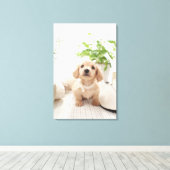 Miniature Dachshund Canvas Afdruk (Insitu (Houten vloer))