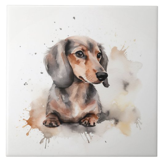 Miniature Dachshund Dog Waterverf pet Tegeltje (Voorkant)