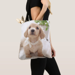 Miniature Dachshund Draagtas