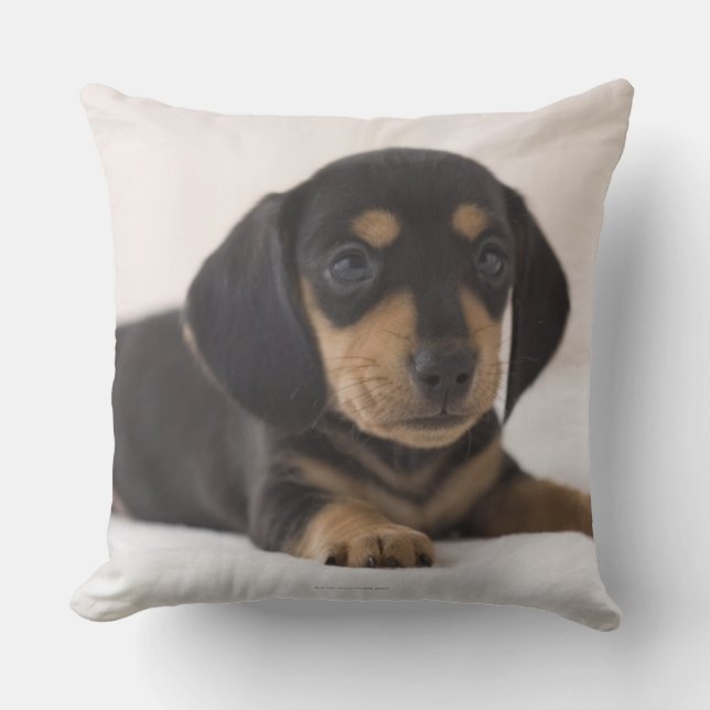 Miniature Dachshund Kussen (Voorkant)
