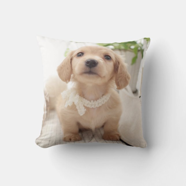 Miniature Dachshund Kussen (Voorkant)