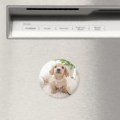 Miniature Dachshund Magneet (Insitu (Vaatwasser))