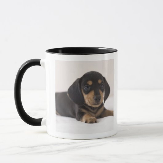 Miniature Dachshund Mok (Links)