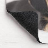 Miniature Dachshund Muismat (Hoek)