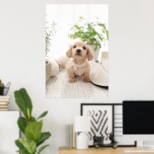 Miniature Dachshund Poster (Thuiskantoor)