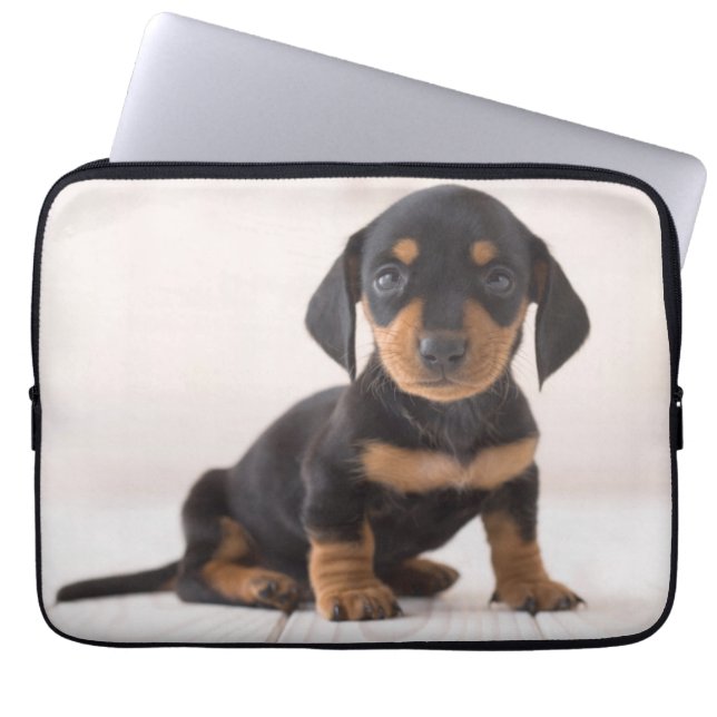 Miniature Dachshund Sitting Laptop Sleeve (Voorkant)