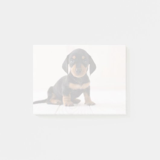 Miniature Dachshund Sitting Post-it® Notes (Voorkant)