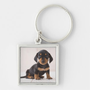 Miniature Dachshund Sitting Sleutelhanger
