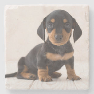 Miniature Dachshund Sitting Stenen Onderzetter