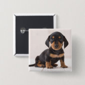 Miniature Dachshund Sitting Vierkante Button 5,1 Cm (Voorkant /achterkant)