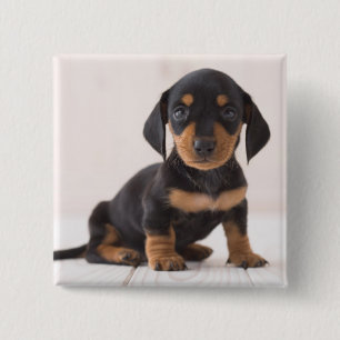 Miniature Dachshund Sitting Vierkante Button 5,1 Cm
