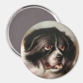 MINIATURE DOG PORTRAITS Newfoundland Magneet (Voorkant / Achterkant)