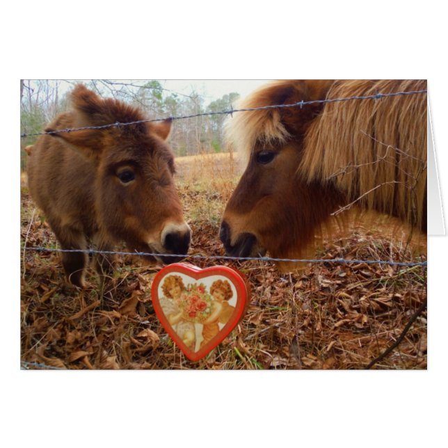 Miniature Donkey & Horse Valentine Heart (Devant horizontal)