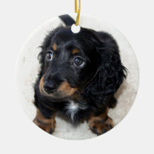 Miniature Long Hazard Dashund Keramisch Ornament