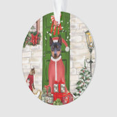 Miniature Pinscher Chien Noël (devant)