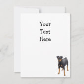 Miniature Pinscher Invitation Kaart (Achterkant)
