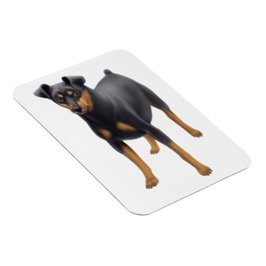 Miniature Pinscher Miniature Pin Premium Magnet (Côté Droit)