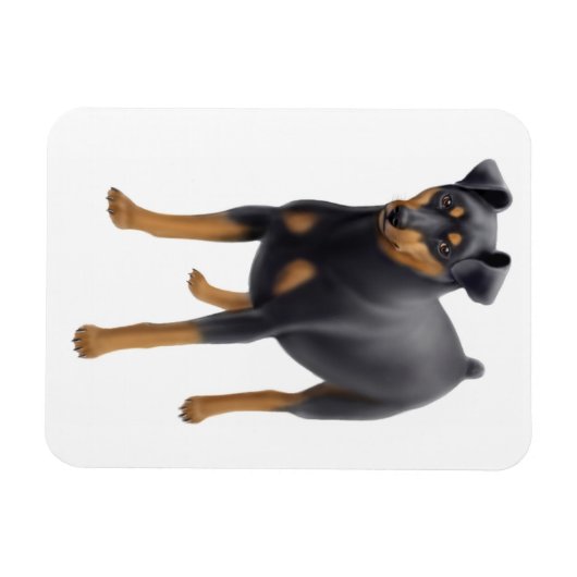Miniature Pinscher Miniature Pin Premium Magnet (Horizontal)