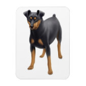 Miniature Pinscher Miniature Pin Premium Magnet (Vertical)