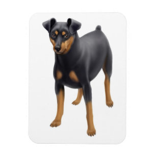 Miniature Pinscher Miniature Pin Premium Magnet