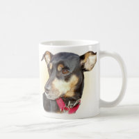 Miniature Pinscher mok
