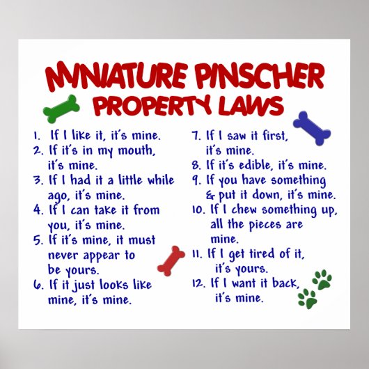 MINIATURE PINSCHER PL2 POSTER (Voorkant)