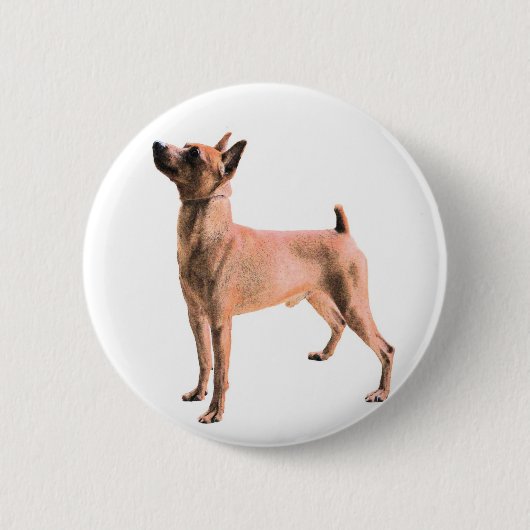 Miniature Pinscher Ronde Button 5,7 Cm (Voorkant)
