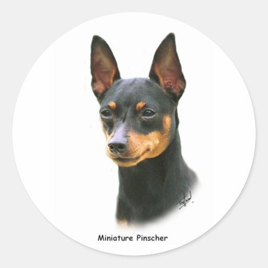 Miniature Pinscher Ronde Sticker (Voorkant)