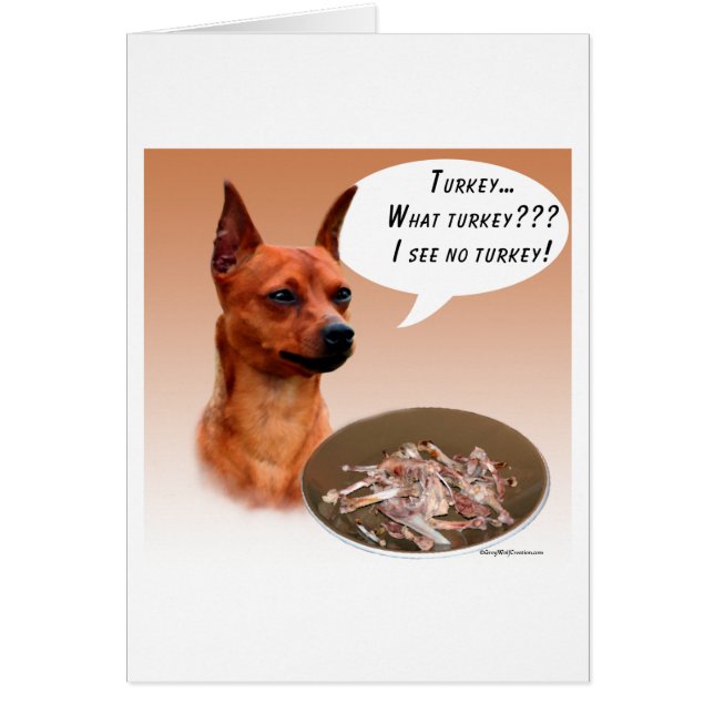 Miniature Pinscher Turquie (Devant)