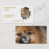Miniature Pomeranian Dog Visitekaartje (Voorkant / Achterkant)