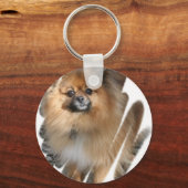 Miniature Pomeranian Sleutelhanger (Voorkant)