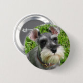 Miniature Schnauzer Button (Voorkant /achterkant)
