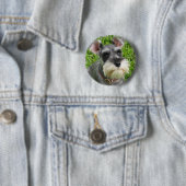 Miniature Schnauzer Button (In situ)