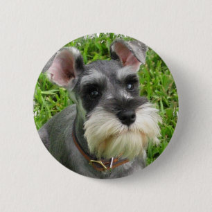 Miniature Schnauzer Button
