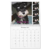 Miniature Schnauzer Calendar 2016 Kalender (Feb 2027)