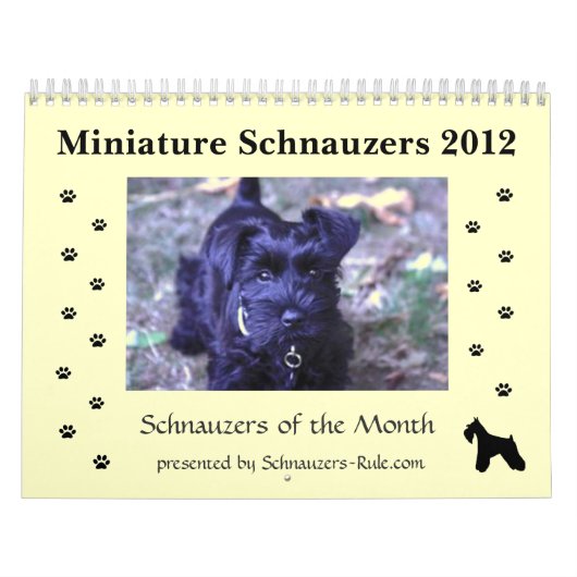 Miniature Schnauzer Calendar Kalender (Hoes)