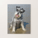 Miniature Schnauzer dog photo jigsaw puzzle<br><div class="desc">Beautiful photo of a cute miniature schnauzer dog sitting on the beach jigsaw puzzle.  great gift idea for dog lovers</div>