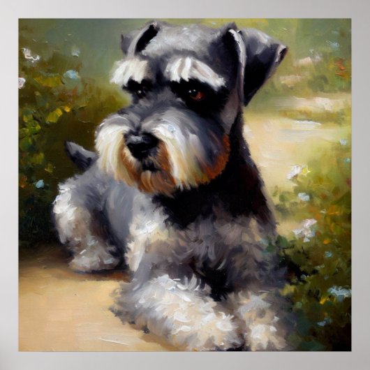 Miniature Schnauzer Dog Poster (Voorkant)